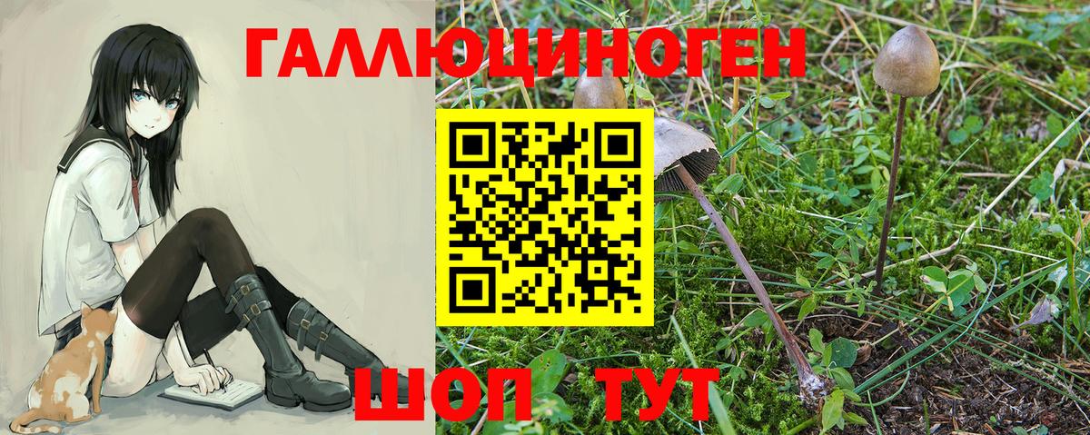 Псилоцибиновые грибы GOLDEN TEACHER Бутурлиновка