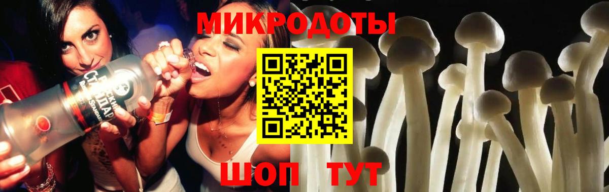 Галлюциногенные грибы прущие грибы  Вход с VPN  Бутурлиновка 